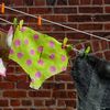 Not In Our Precious Lawns: Long Island Village Bans Front Yard Clotheslines